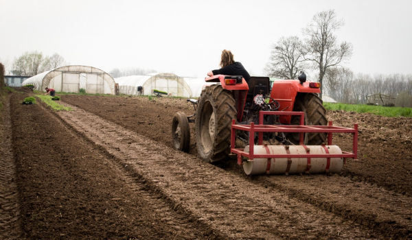 tractor